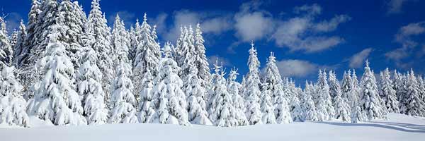 Black Forest, Germany