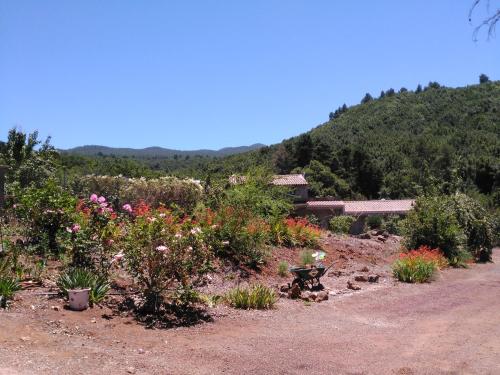 The 10 Best Tenerife Country Houses - Country Homes on ...