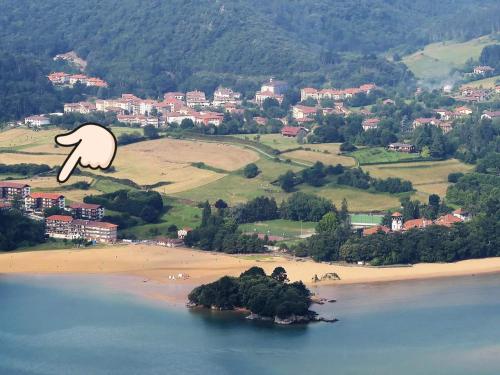 45 hoteles que aceptan mascotas en Costa de Vizcaya, España ...
